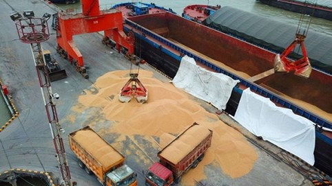 Trung Quốc tuyên bố tạm ngừng mua nông sản của Mỹ, thỏa thuận thương mại có nguy cơ đổ vỡ