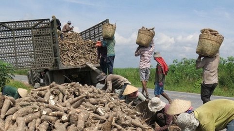 Trung Quốc dựng rào siết chặt, thế mạnh tỷ USD Việt Nam lao đao