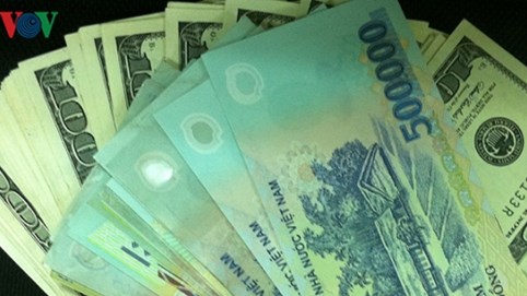 Giá USD trong nước hôm nay 5/9 gần như đứng im