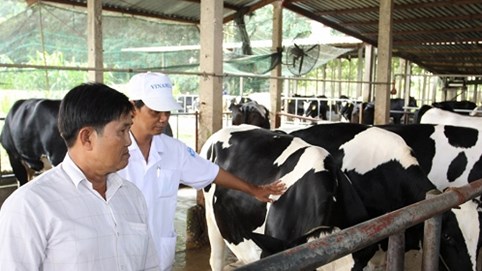 Liên kết - Sự sống còn của chăn nuôi nông hộ