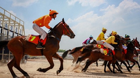 Hà Nội xây dựng đề án tổ hợp giải trí, trường đua ngựa 500 triệu USD