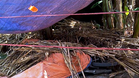 Điều tra nguyên nhân hai vụ án mạng trong một ngày tại Quỳnh Lưu