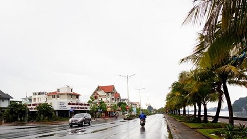 Quảng Ninh tính bán đấu giá 