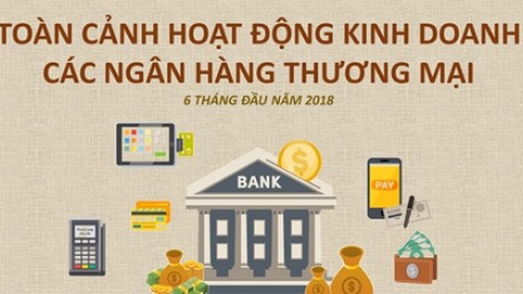 [Infographic] - Toàn cảnh 