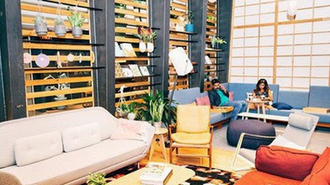 JLL: Co-living và co-working đang là mảng ăn tiền lớn tại Việt Nam