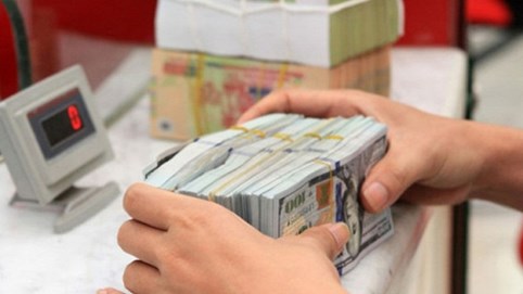 'Khủng hoảng chu kỳ 10 năm khó có khả năng xảy ra ở Việt Nam'