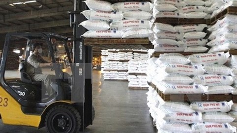 Kiểm toán Nhà nước yêu cầu Đạm Phú Mỹ điều chỉnh báo cáo tài chính