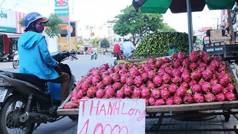 Lại giải cứu thanh long