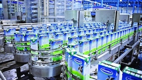 Lãi hàng nghìn % trong 10 năm: Điều không tưởng có thật cho cổ đông Vinamilk, Vingroup