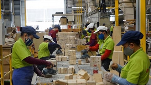 Lâm nghiệp Việt Nam chuẩn bị “cán đích” 9 tỉ USD xuất khẩu