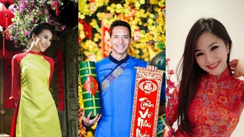 Loạt sao Việt tuổi Hợi nổi bật của làng giải trí