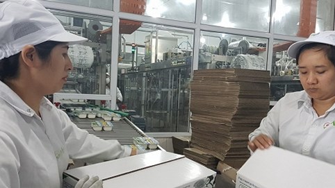 Mục tiêu 1 triệu doanh nghiệp vào năm 2020: Khó cán đích nếu không triệt để loại bỏ rào cản