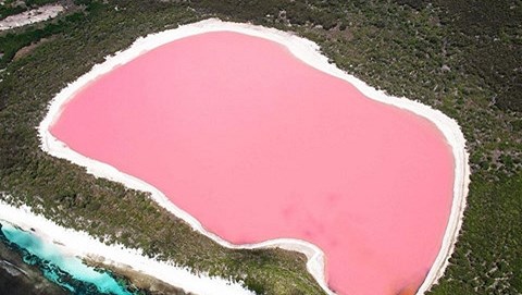 Ngắm hồ nước màu sinh tố dâu tây lạ thường ở Australia