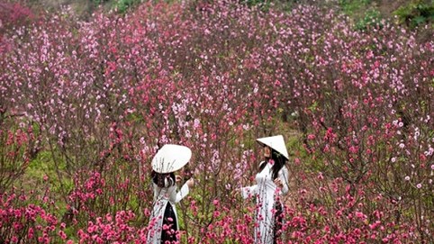 Nghỉ Tết Nguyên đán, Quốc khánh từ năm 2020 có nhiều thay đổi