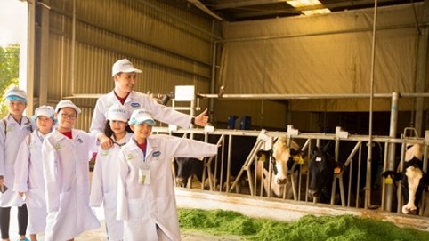 Nghìn cô bò hạnh phúc hôm nay, triệu ly sữa học đường tươi ngon ngày mai