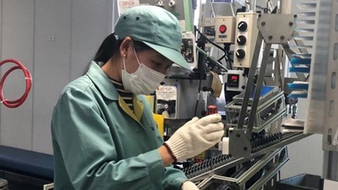 Nhật muốn tuyển 22.000 người Việt Nam sang làm việc