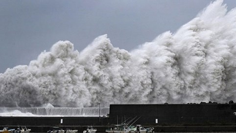 Nhiều chuyến bay từ Việt Nam đi Nhật Bản phải hủy do siêu bão Jebi