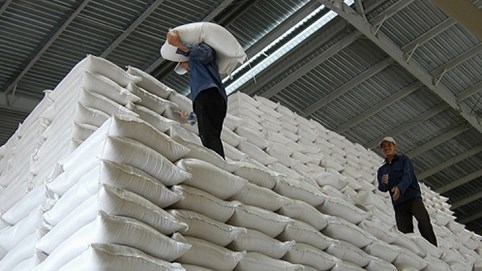 Nhiều doanh nghiệp từng “xù” ký hợp đồng gạo dự trữ vẫn trúng thầu