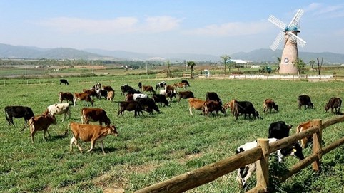 Nhiều lần muốn mua 14,5 triệu cp Vinamilk không thành, F&N Dairy lại đăng ký mua hơn 17,4 triệu cp