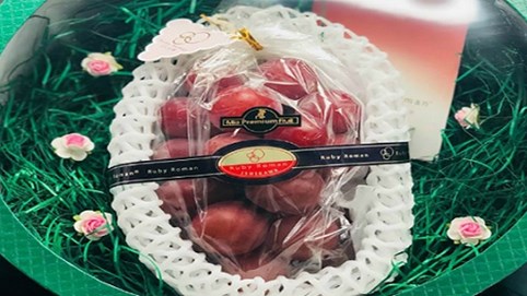 Nho Nhật 11 triệu đồng/chùm bán hết sau một ngày về Sài Gòn