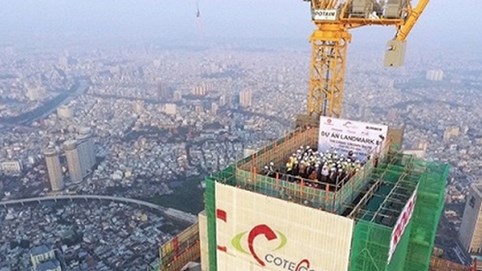 Nội chiến Coteccons đang tới hồi kết?