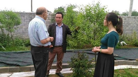 Nỗi lòng của “ông mai” mang “vàng xanh” đàn hương về Việt Nam