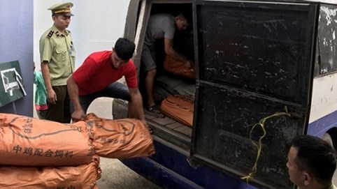 Phát hiện gần 1 tấn bột làm trà sữa nhập lậu