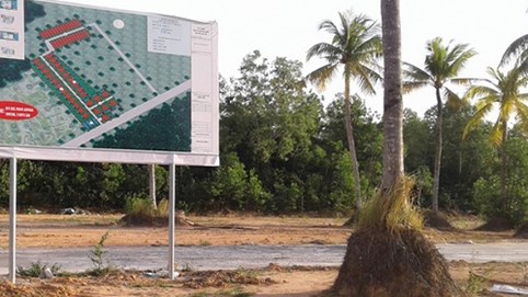 Phó Thủ tướng chỉ đạo xử lý vi phạm về quản lý đất nông nghiệp tại Phú Quốc