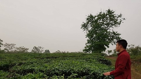 Phú Thọ: Công ty chè Phú Đa bị tố dùng tài liệu giả làm thay đổi bản chất vụ án tranh chấp tài sản