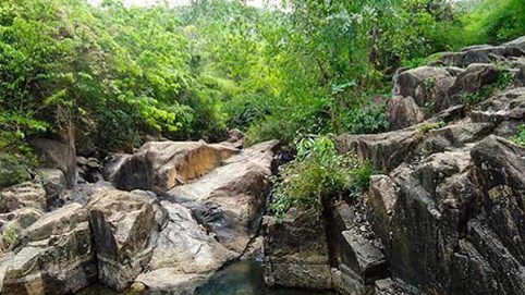 Rừng đặc dụng, rừng phòng hộ biến thành dự án