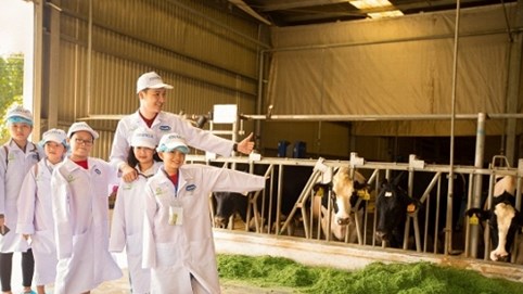 Sữa học đường: “Trăm nghe” và… đã thấy