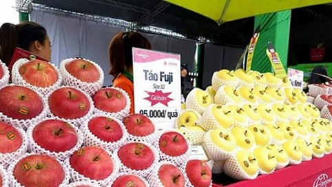 Táo sạch Nhật Bản chính vụ 2018 đã có mặt tại Việt Nam