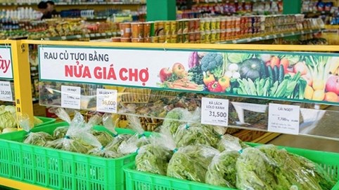 Thế Giới Di Động thở phào nhẹ nhõm khi chuỗi Bách hóa xanh trở lại đường đua