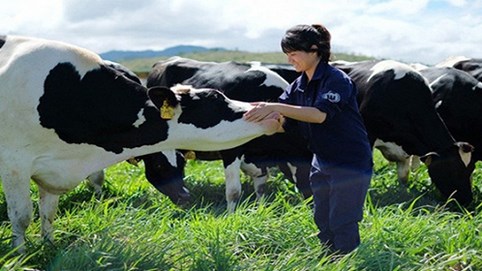 Thị trường sữa đã bão hòa, Vinamilk còn đất nào để tăng trưởng?