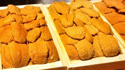 Tiệc trứng 'nhân sâm biển' Nhật 80 triệu của đại gia Hà thành