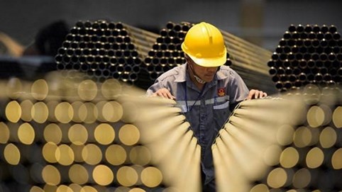 Tôn Hoa Sen giải thể công ty con sau khi đóng cửa hàng trăm chi nhánh