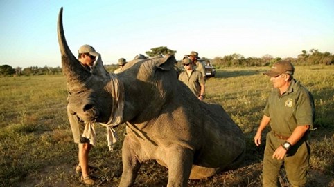 Trải nghiệm 7 ngày ở Nam Phi chắc chắn khiến bạn bị mê hoặc