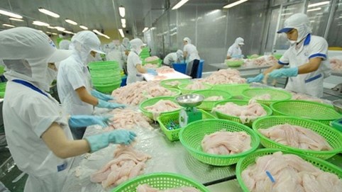 VASEP nêu bất cập về thuế thu nhập doanh nghiệp trong ngành thuỷ sản