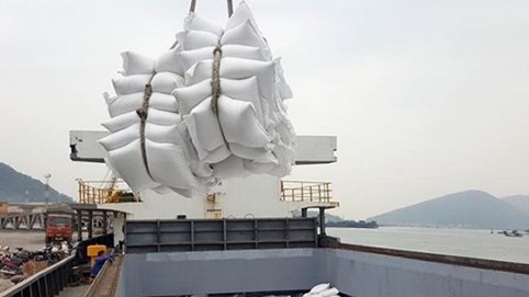 Việt Nam trúng thầu xuất khẩu 30.000 tấn gạo cho Philippines