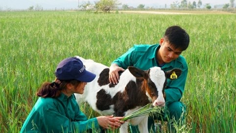 Vinamilk bắt tay với doanh nghiệp Lào, Nhật Bản, khởi công xây dựng tổ hợp resort bò sữa organic 5.000ha tại Lào