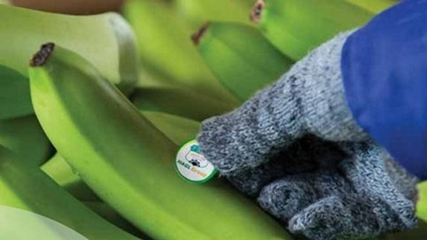 Công ty bầu Đức thay đổi ra sao sau quý đầu tiên bắt tay Thaco?