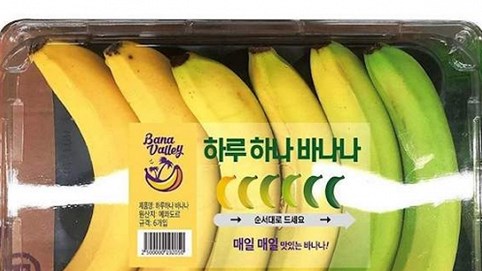 Ý tưởng kinh doanh hộp chuối chín dần đều gây tranh cãi ở Hàn Quốc