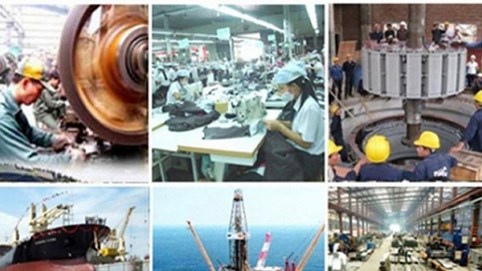 Công bố thông tin DNNN theo Nghị định số 81/2015/NĐ-CP