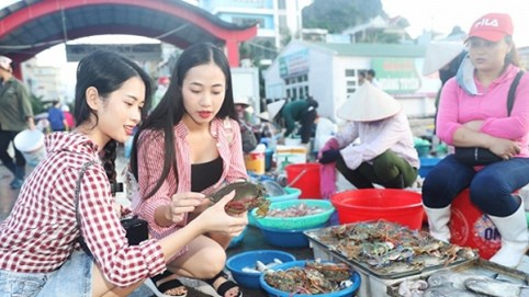 Đừng nghĩ Vân Đồn không có gì để chơi