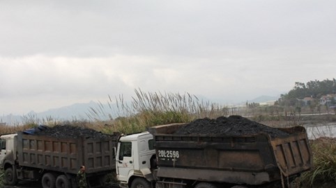 Khai thác khoáng sản trái phép ở Quảng Ninh: Doanh nghiệp “vờ” san lấp mặt bằng để trộm than