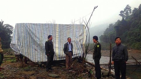 Hà Tĩnh: Bị tịch thu gỗ, 