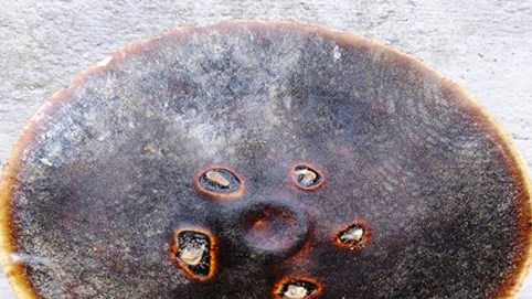 Hà Tĩnh:  Phát hiện nhiều cổ vật độc đáo thời Lê