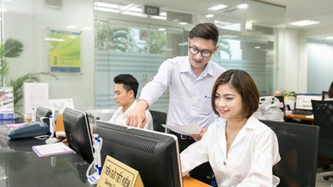 Nhiều doanh nghiệp 