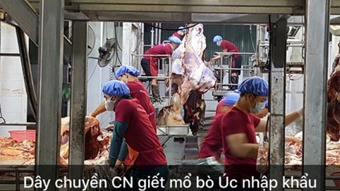 Công ty CP Đông Thành Hà Nội: Mang thực phẩm sạch đến với người tiêu dùng và cộng đồng xã hội