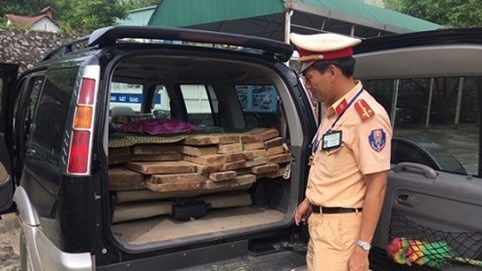 Quảng Nam: Bắt giữ xe sang chở gỗ lậu